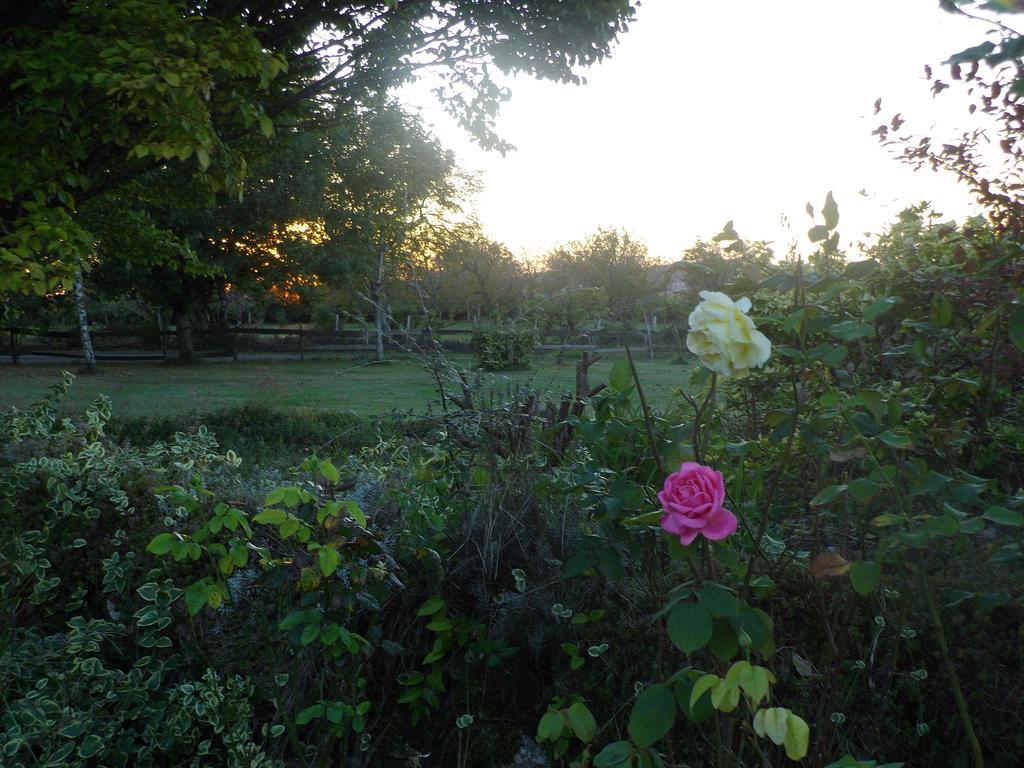 Bed and Breakfast La Lunaire Verteillac Exteriér fotografie